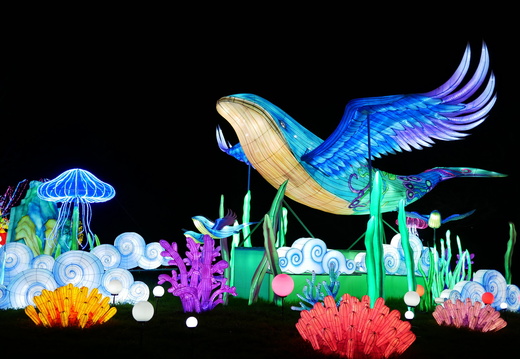 Festival Lanternes 01-2022